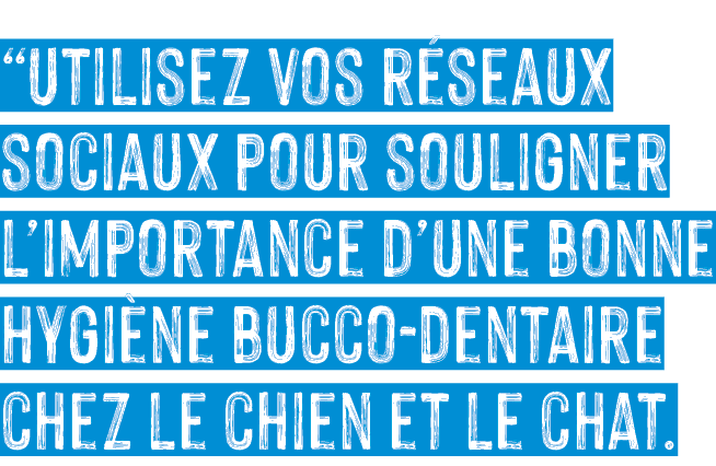  Utilisez vos réseaux sociaux pour souligner l importance d une bonne hygiène bucco-dentaire chez le chien et le chat 